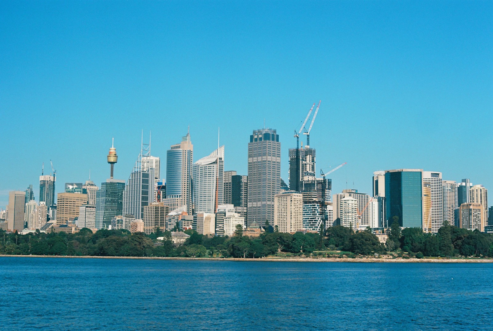 Australian Company Compliance: Annual Reviews, Records and Tax Returns
